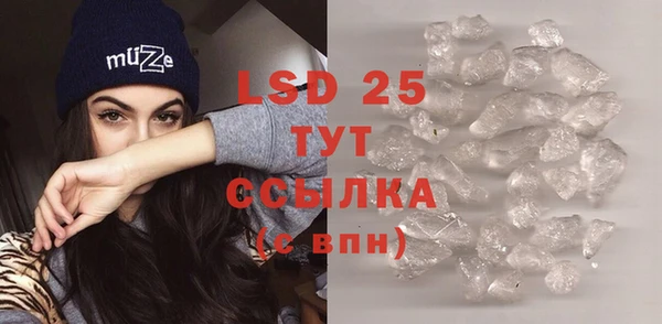 стаф Пестово