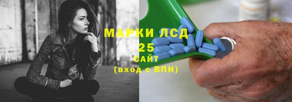 стаф Пестово