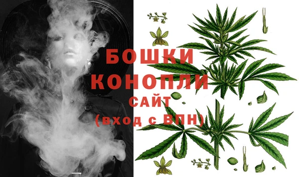 стаф Пестово
