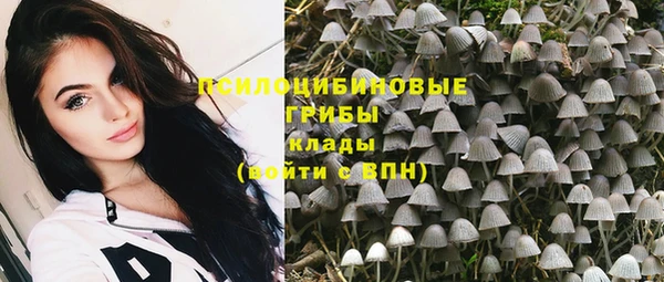 не бодяженный Надым