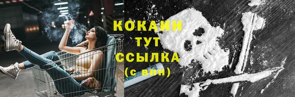 стафф Пересвет
